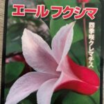 加油福島